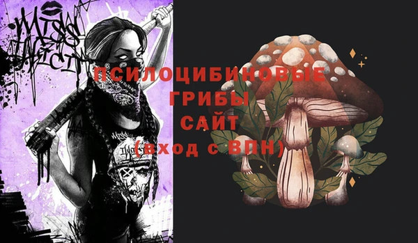а пвп мука Каменка
