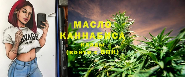 амф Каменногорск
