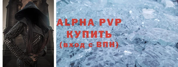 амф Каменногорск