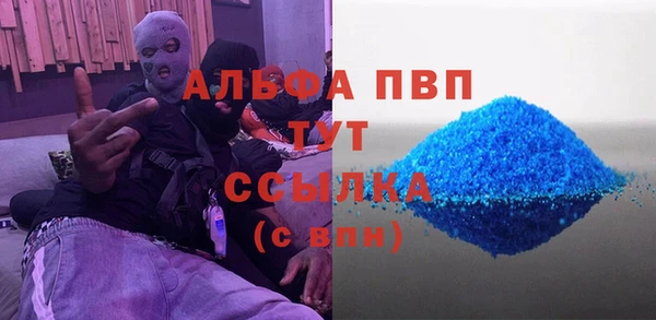 амф Каменногорск