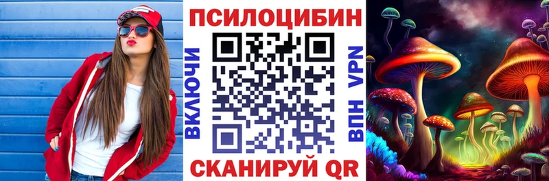 Купить закладки  Белая Холуница  Псилоцибиновые грибы GOLDEN TEACHER 